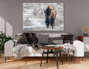  Snowy Animal Art: Add a Touch of Winter Charm to Your Home