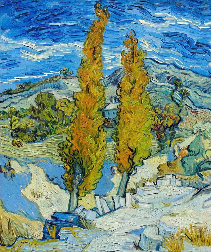  Vincent van Gogh