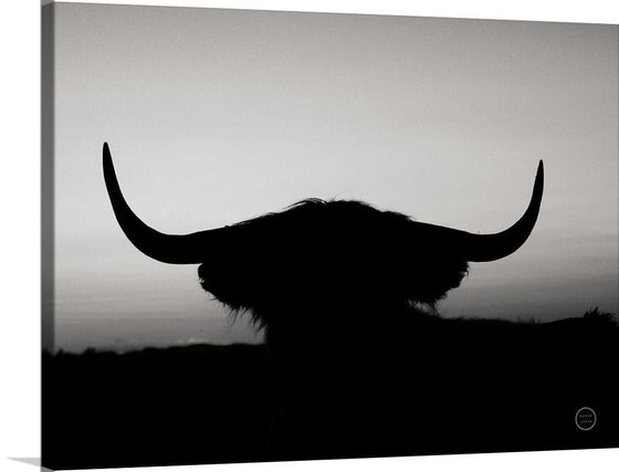 “Bull Set BW Crop“, Nathan Larson