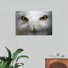  Bring the captivating gaze of nature into your home with “Snowy Owl Stare” by Nathan Larson. This stunning photographic print captures the intense, mesmerizing eyes of a snowy owl, set against a beautifully muted background. The intricate details and striking contrast make it a standout piece that adds a touch of wilderness and elegance to any space. Printed on high-quality canvas with archival inks, this artwork ensures vibrant colors and long-lasting durability. 