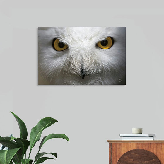 Bring the captivating gaze of nature into your home with “Snowy Owl Stare” by Nathan Larson. This stunning photographic print captures the intense, mesmerizing eyes of a snowy owl, set against a beautifully muted background. The intricate details and striking contrast make it a standout piece that adds a touch of wilderness and elegance to any space. Printed on high-quality canvas with archival inks, this artwork ensures vibrant colors and long-lasting durability. 