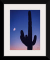 “Candy Rock Desert Crop”, Nathan Larson