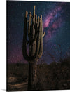 “Desert Nights Crop”, Nathan Larson