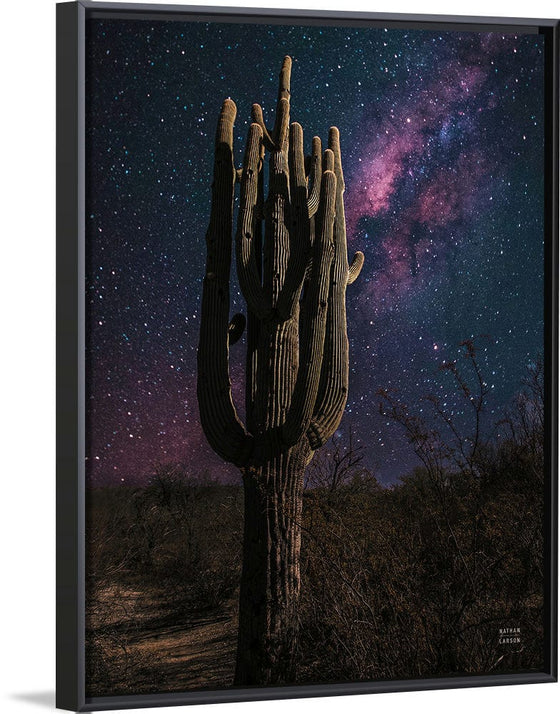 “Desert Nights Crop”, Nathan Larson