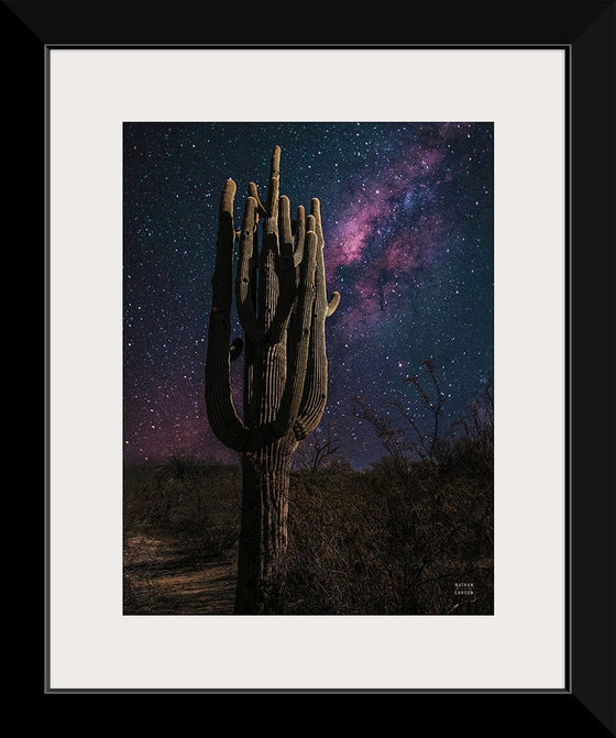 “Desert Nights Crop”, Nathan Larson