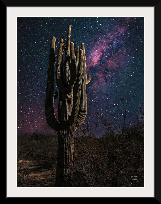 “Desert Nights Crop”, Nathan Larson