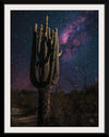 “Desert Nights Crop”, Nathan Larson