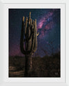 “Desert Nights Crop”, Nathan Larson