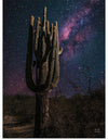 “Desert Nights Crop”, Nathan Larson