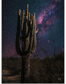  “Desert Nights Crop”, Nathan Larson