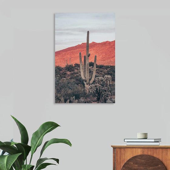 “Sunsets and Saguaros I”, Nathan Larson