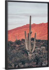 “Sunsets and Saguaros I”, Nathan Larson