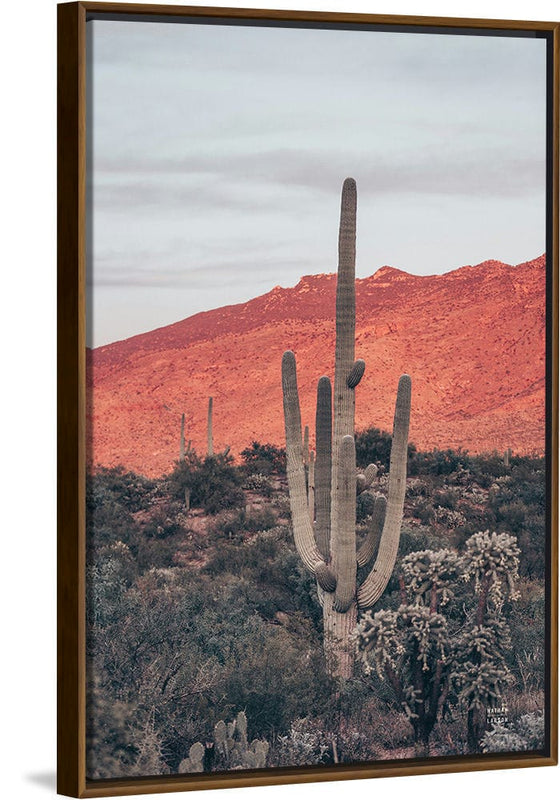 “Sunsets and Saguaros I”, Nathan Larson