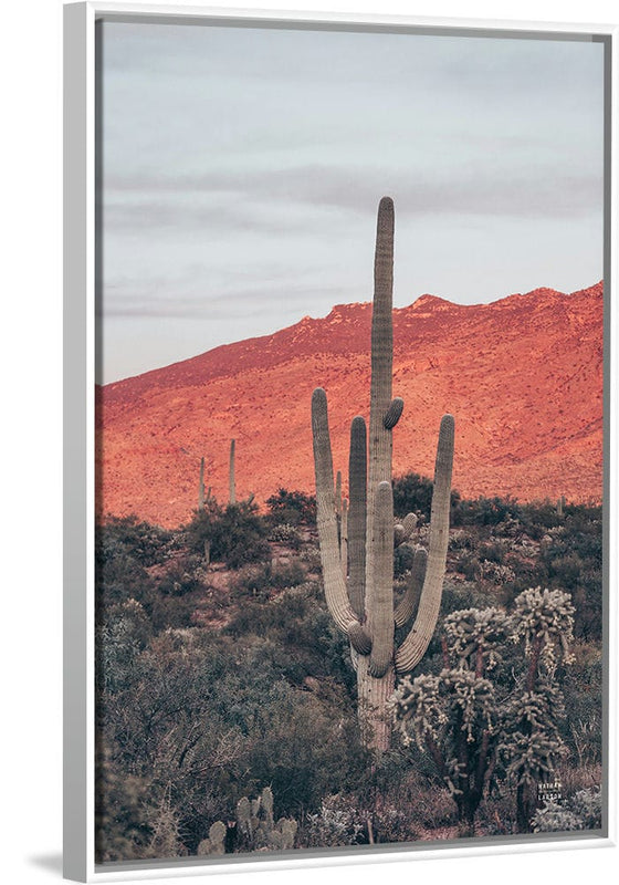 “Sunsets and Saguaros I”, Nathan Larson