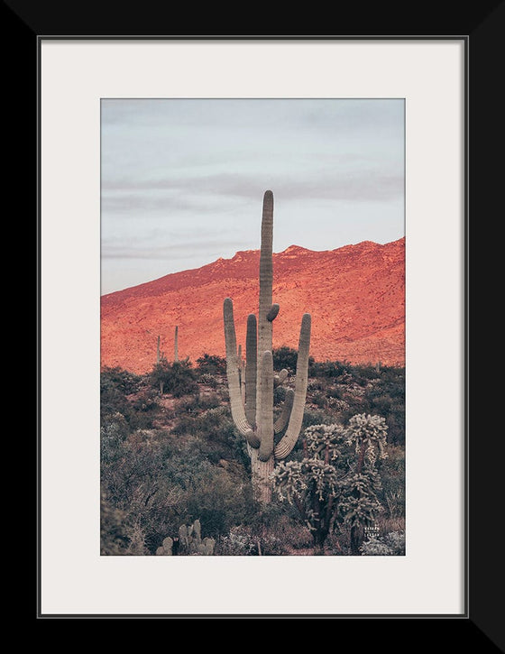 “Sunsets and Saguaros I”, Nathan Larson