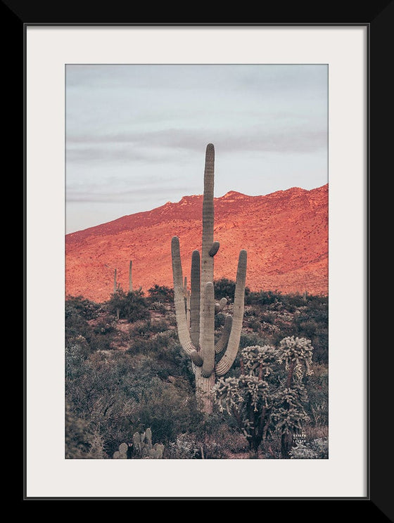 “Sunsets and Saguaros I”, Nathan Larson