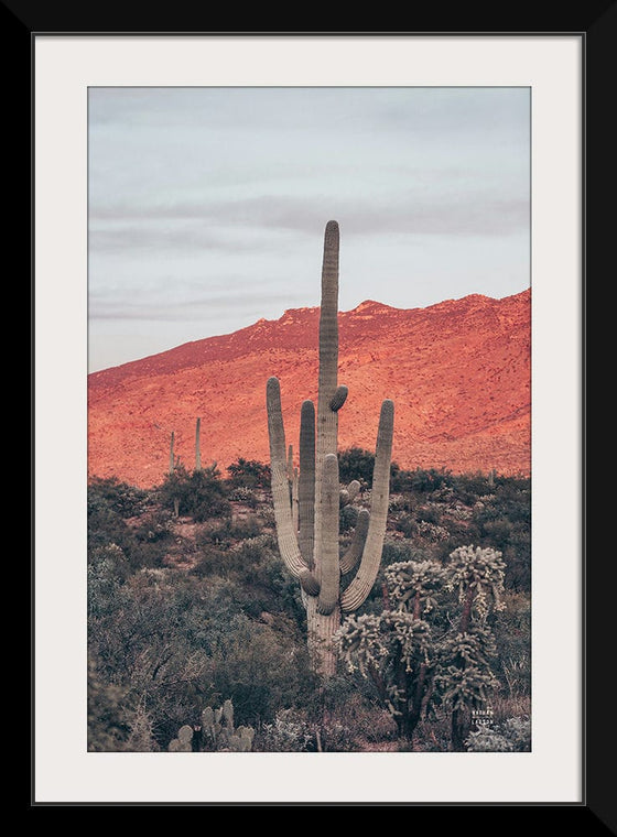 “Sunsets and Saguaros I”, Nathan Larson