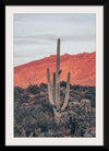 “Sunsets and Saguaros I”, Nathan Larson