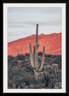 “Sunsets and Saguaros I”, Nathan Larson