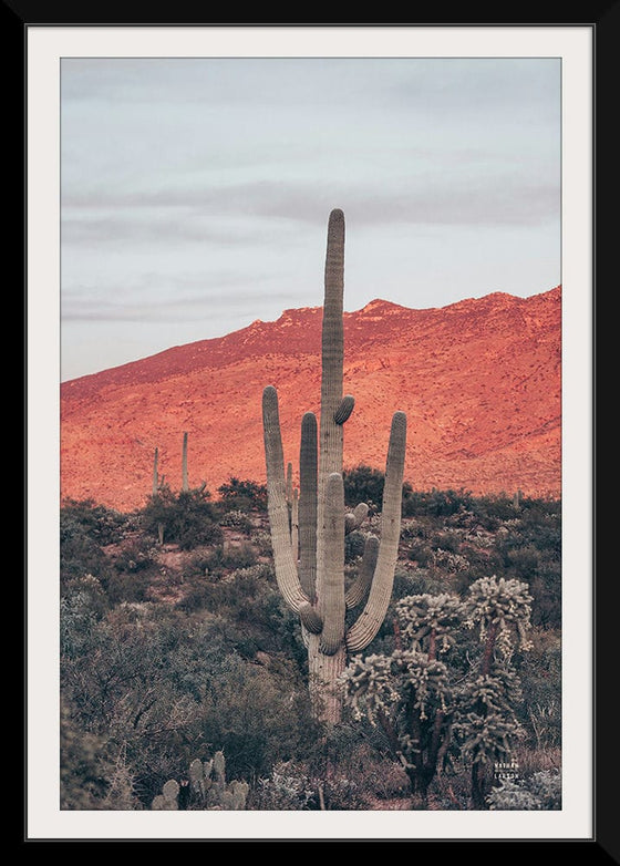 “Sunsets and Saguaros I”, Nathan Larson