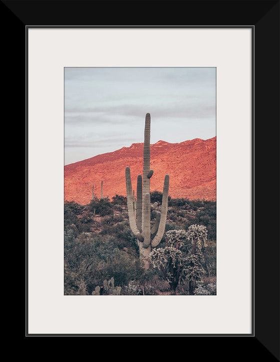 “Sunsets and Saguaros I”, Nathan Larson