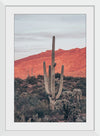 “Sunsets and Saguaros I”, Nathan Larson