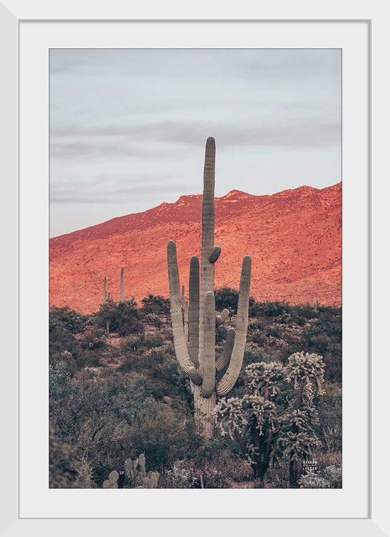 “Sunsets and Saguaros I”, Nathan Larson