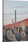 “Sunsets and Saguaros II”, Nathan Larson