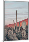 “Sunsets and Saguaros II”, Nathan Larson