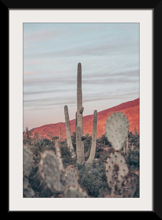 “Sunsets and Saguaros II”, Nathan Larson