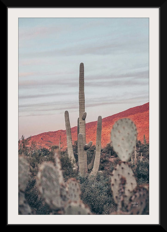 “Sunsets and Saguaros II”, Nathan Larson