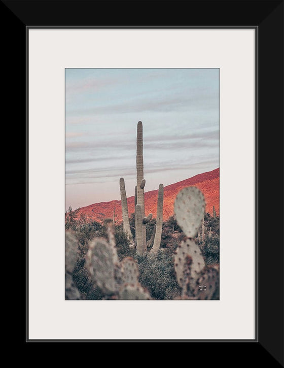 “Sunsets and Saguaros II”, Nathan Larson