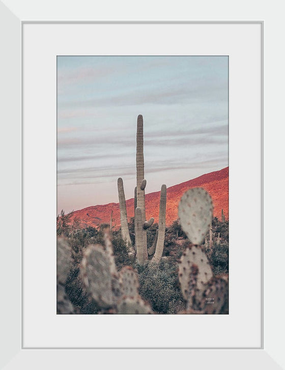 “Sunsets and Saguaros II”, Nathan Larson