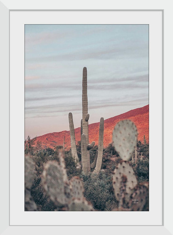 “Sunsets and Saguaros II”, Nathan Larson