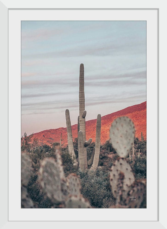 “Sunsets and Saguaros II”, Nathan Larson