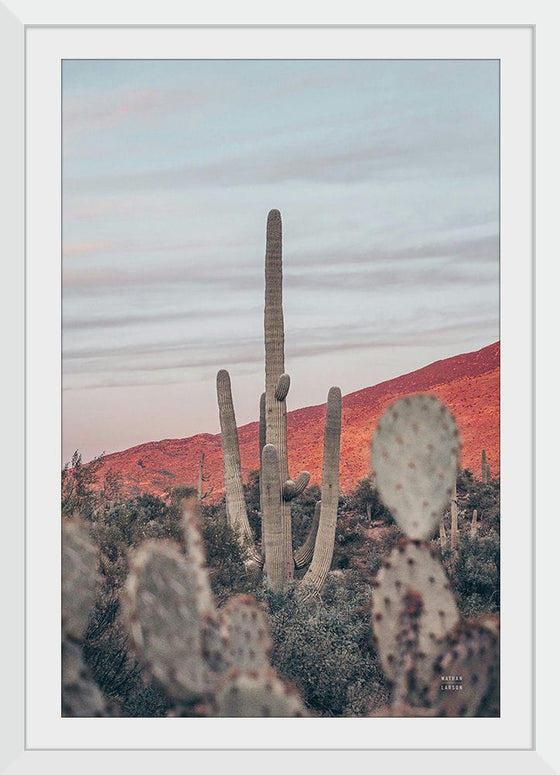 “Sunsets and Saguaros II”, Nathan Larson