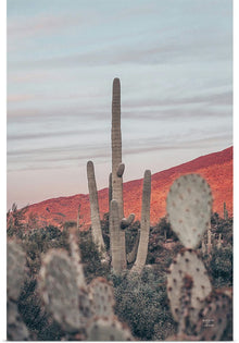  “Sunsets and Saguaros II”, Nathan Larson