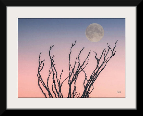 “Reaching Up Moon Crop“, Nathan Larson