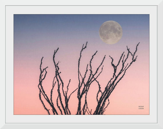 “Reaching Up Moon Crop“, Nathan Larson