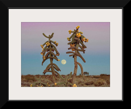 “Desert Moonrise Crop“, Nathan Larson