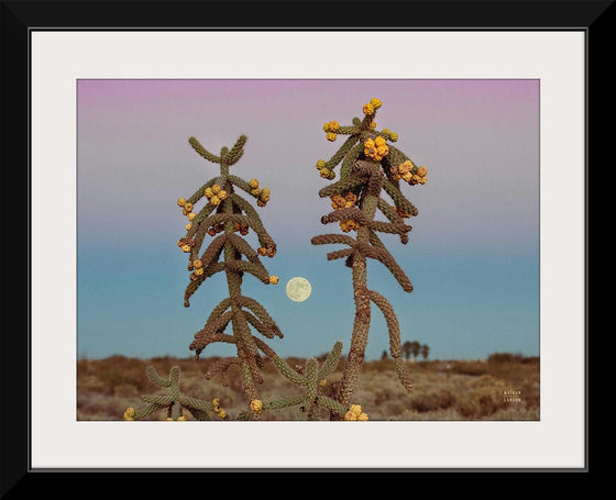 “Desert Moonrise Crop“, Nathan Larson