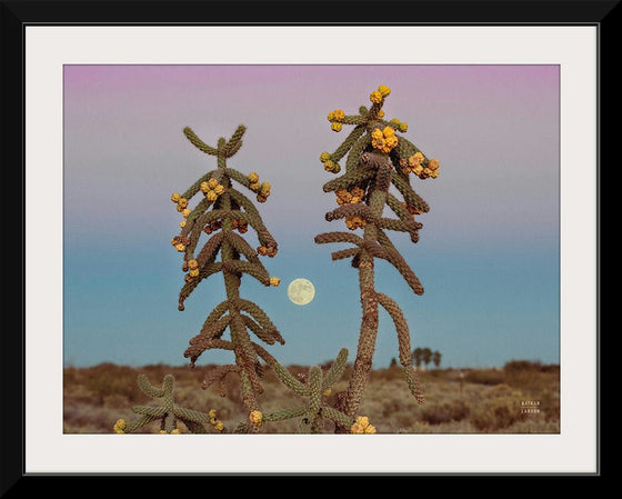 “Desert Moonrise Crop“, Nathan Larson