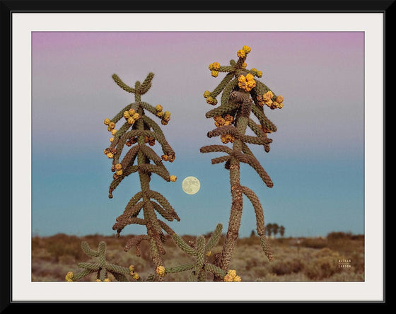 “Desert Moonrise Crop“, Nathan Larson