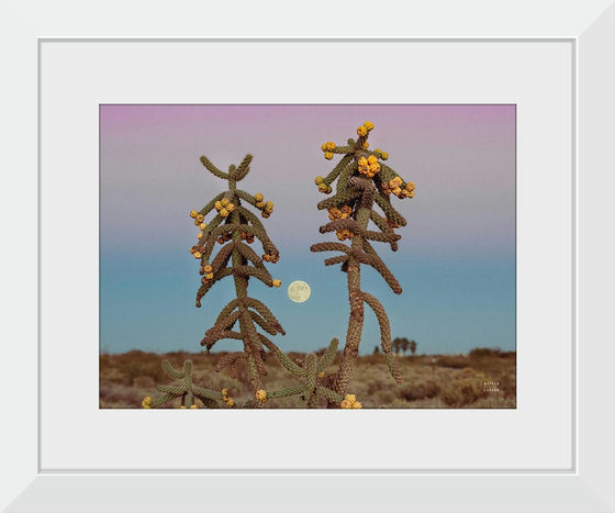 “Desert Moonrise Crop“, Nathan Larson
