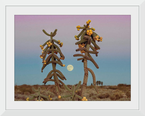 “Desert Moonrise Crop“, Nathan Larson