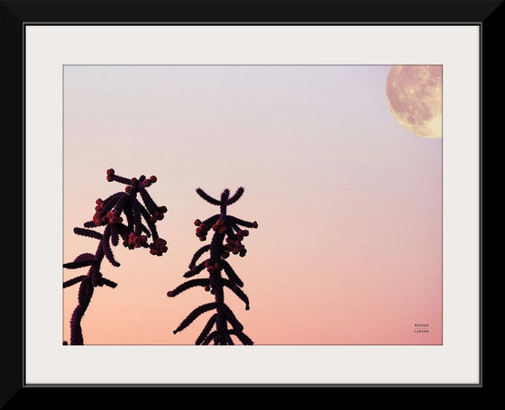 “Moon Desert Crop“, Nathan Larson