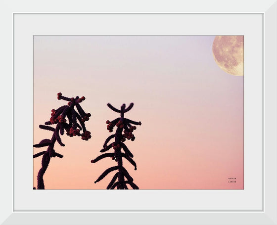 “Moon Desert Crop“, Nathan Larson