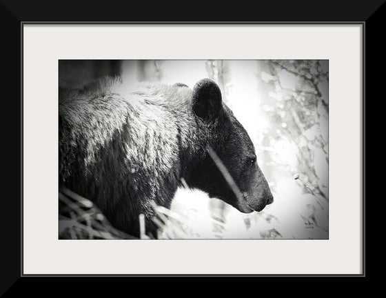 “Bear Emerging“, Nathan Larson