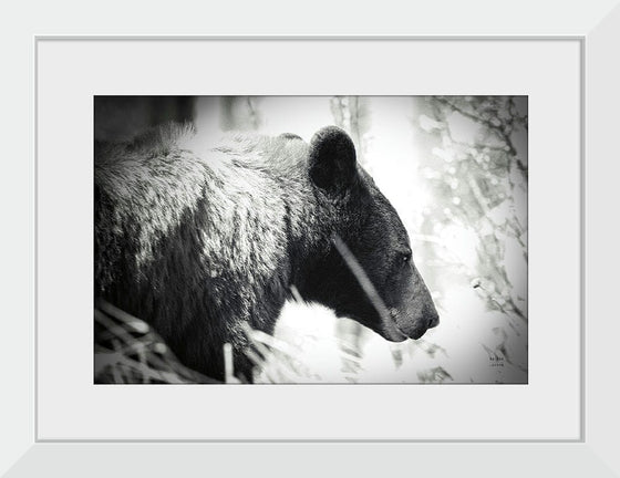 “Bear Emerging“, Nathan Larson