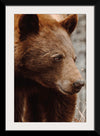 “Bear Profile I”, Nathan Larson